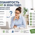 Самозанятость или ИП в 2026 году: как определить свой оптимальный статус